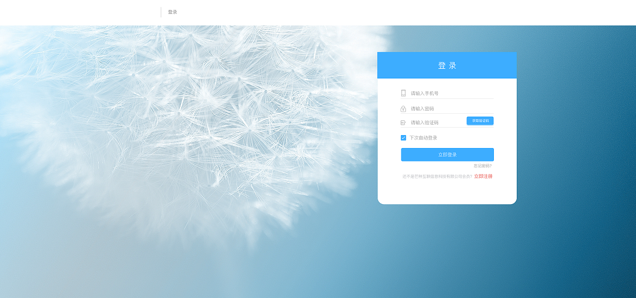 金融科技時代下的網頁界面設計 打造高效、安全與用戶友好的金融交互體驗